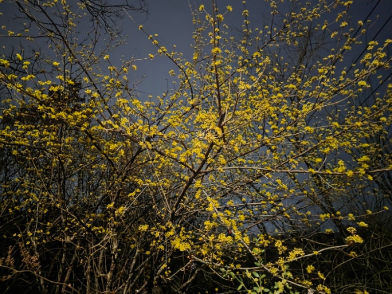 사진 6