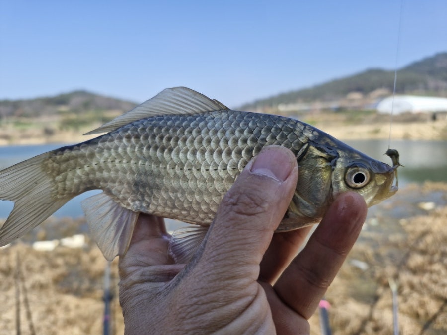 석포제 사진 2