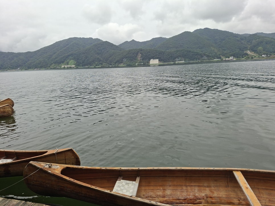 선차이 사진 3