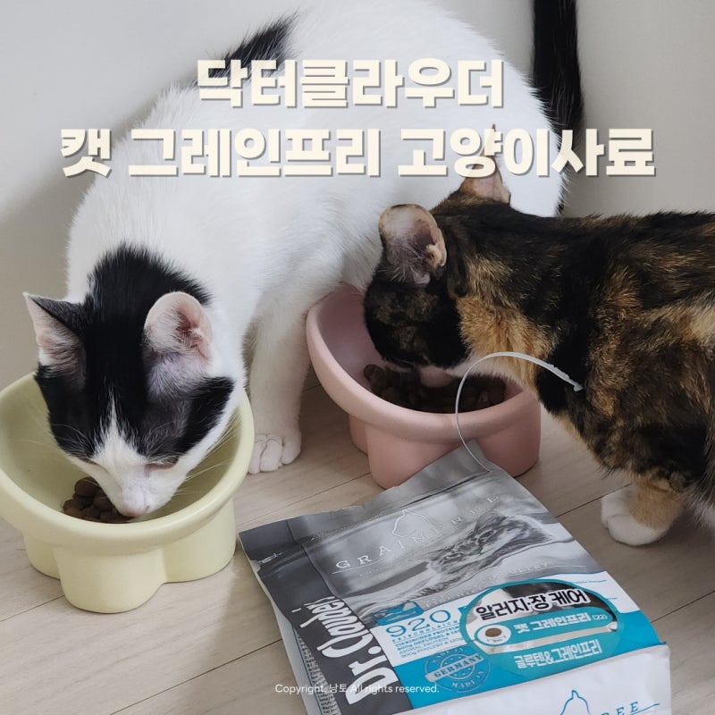 고양이가수분해사료 닥터클라우더 그레인프리 설사끝 사료 후기