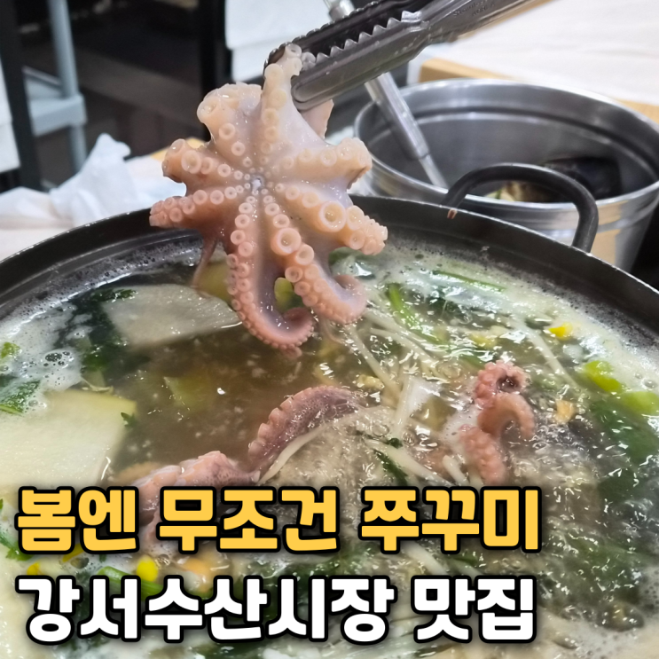  강서수산시장 제철 쭈꾸미흥한수산 + 갯마을 샤브샤브 후기