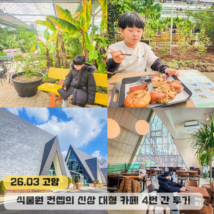  고양 일산 대형카페 신상 배다골  베이커리 포레 혜택 꿀팁 정보
