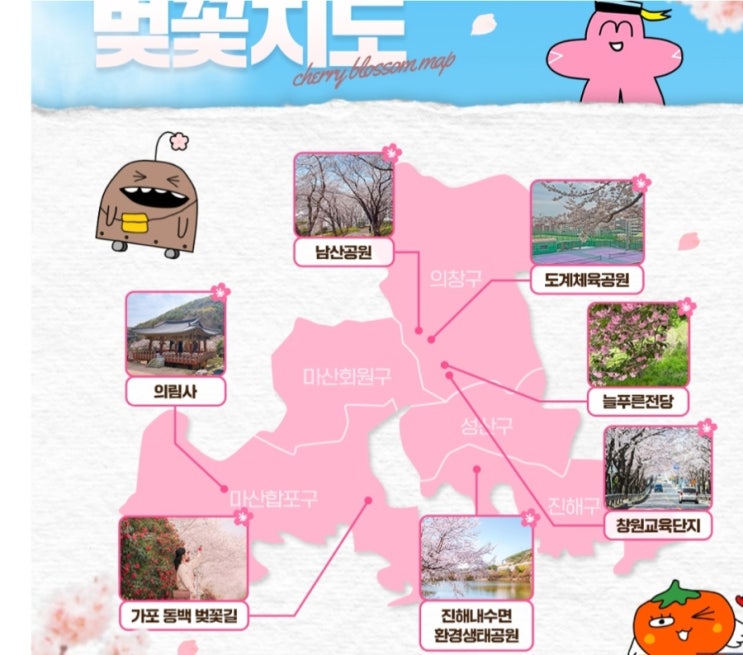  진해 군항제 벚꽃