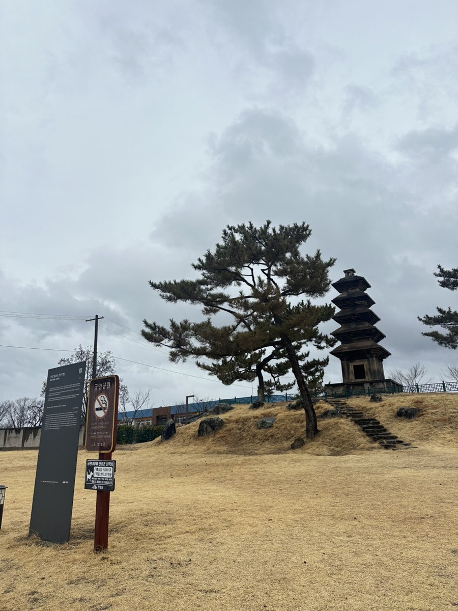 논산손칼국수 사진 5