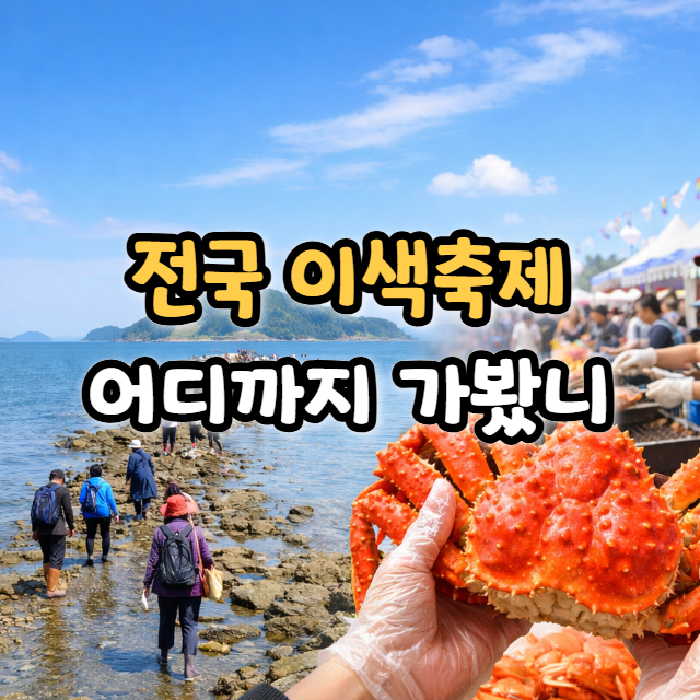  전국 이색 봄 축제 모음 베스트 5