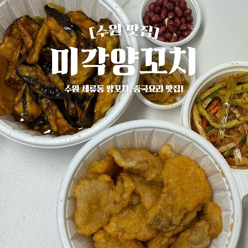  수원 세류동 맛집 미각양꼬치 꿔바로우 지삼선 배달 후기