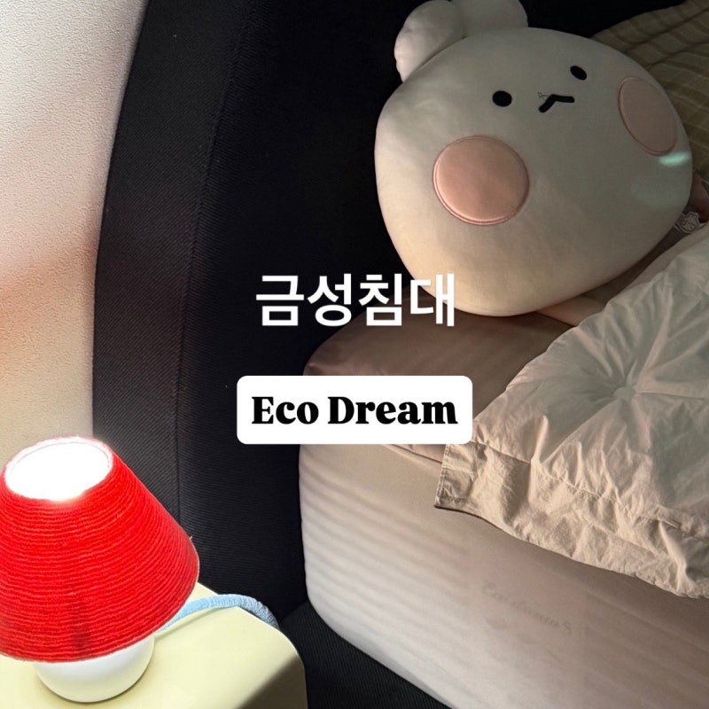 금성침대 에코드림5 매트리스 퀸사이즈 구매 후기 (100만원 초반대)