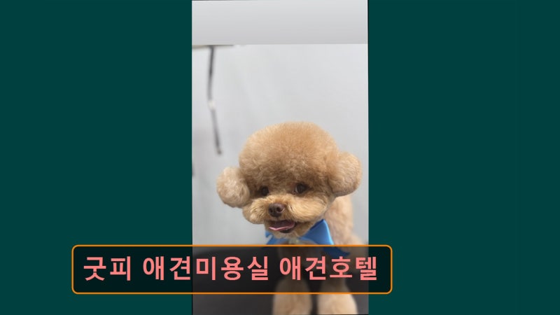 사진 2