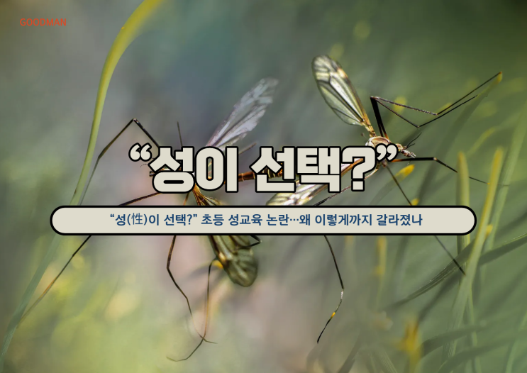  “성(性)이 선택?” 초등 성교육 논란…왜 이렇게까지 갈라졌나