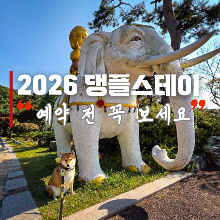  2026 상반기 댕플스테이 일정 총정리 | 이암사·미륵사·관음사 예약 방법까지