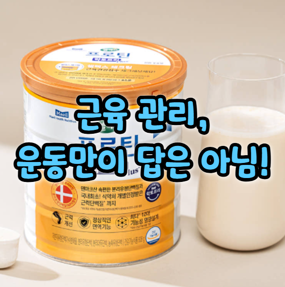  운동 안 해도 근육 유지 고민될 때 단백질보충제 선택 기준