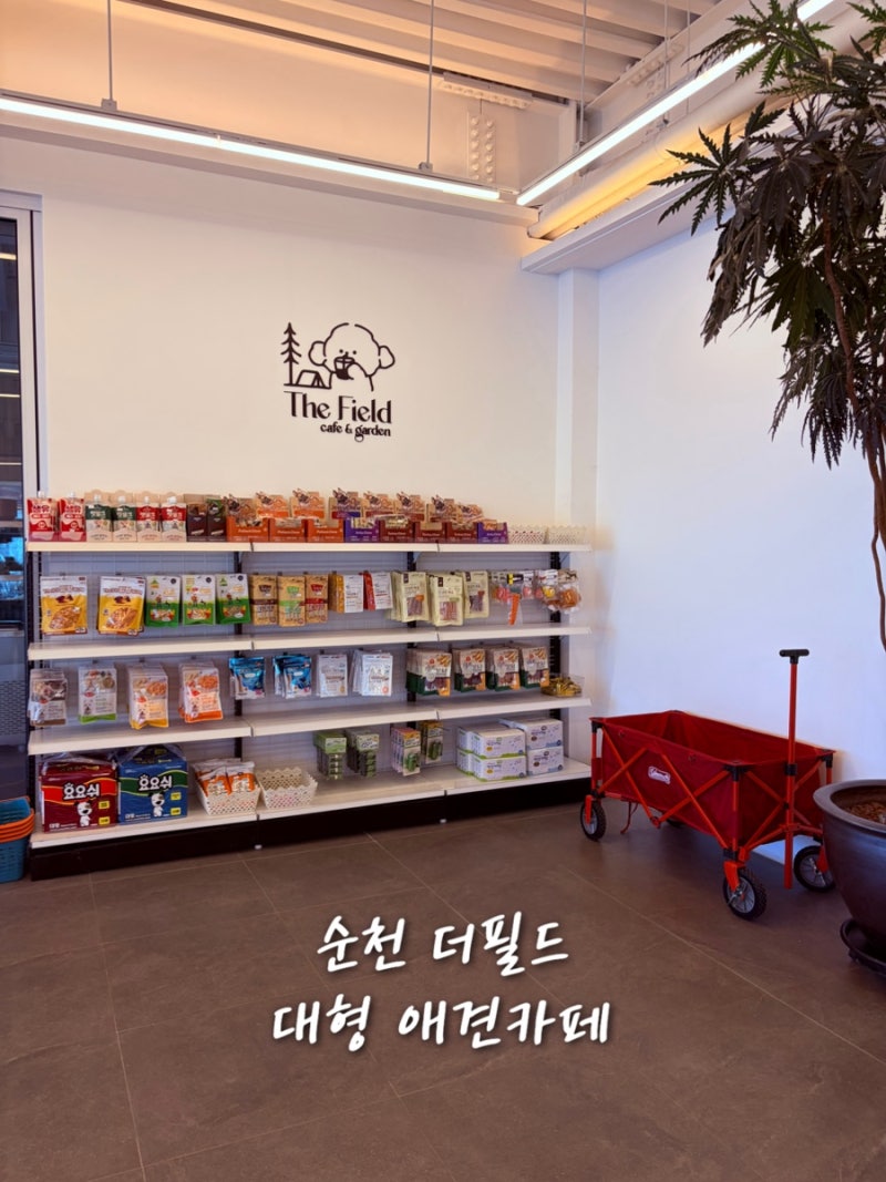 더필드 — 순천시