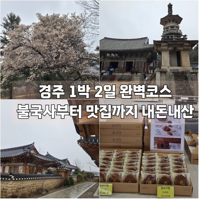  경주 1박 2일 가볼만한 곳 추천 불국사 황리단길 맛집 카페 보리빵 맛집 내돈내산