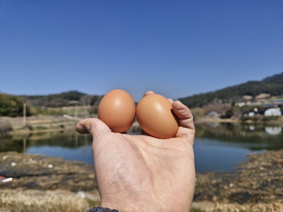 석포제 사진 6