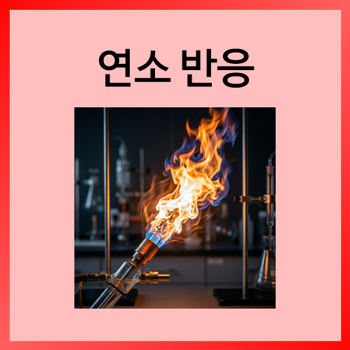  [중등화학]연소 반응