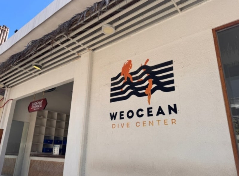 필리핀 세부 빠지 스킨스쿠버 체험다이빙부터 자격증까지 위오션