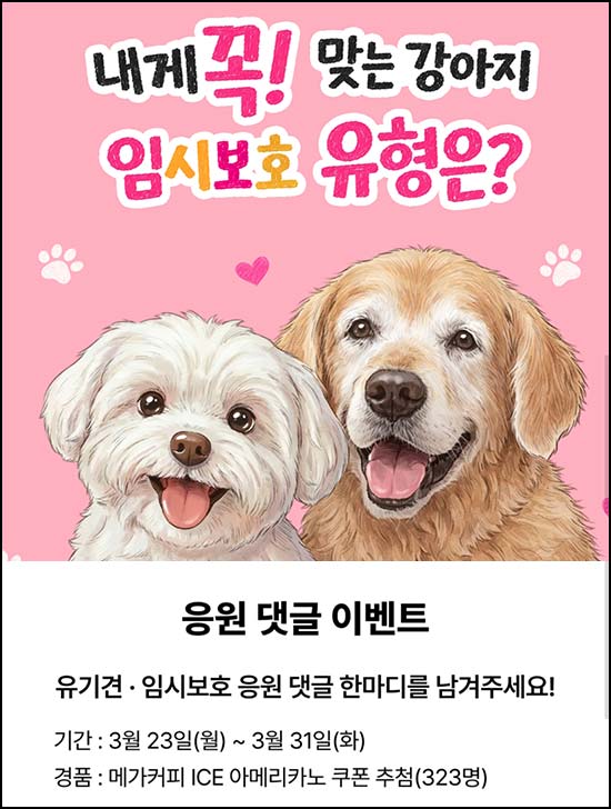  H몰 강아지 임시보호 응원댓글 이벤트(메가커피 323명)추첨~03.31