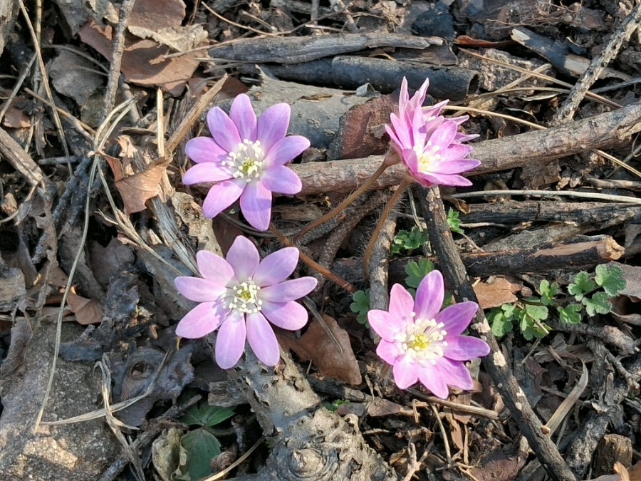 이륵골 사진 3