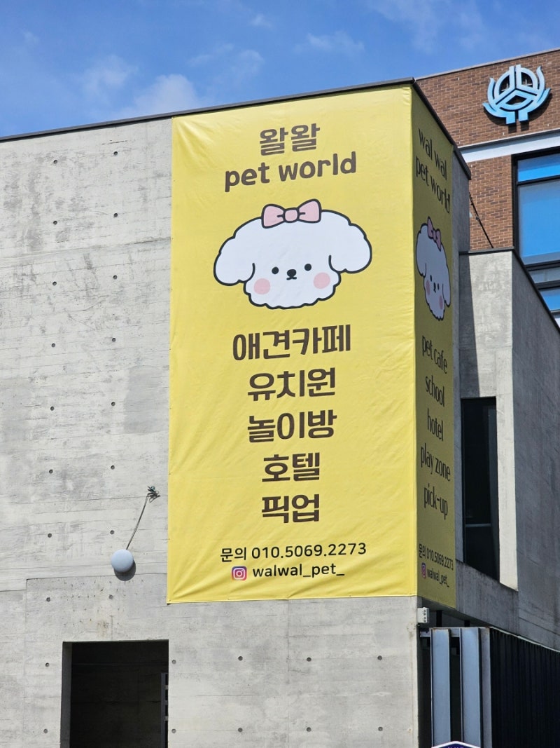 사진 3