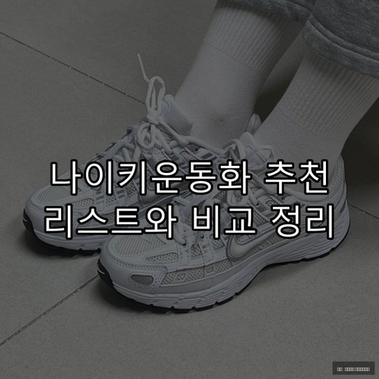  나이키운동화 추천 리스트와 비교 정리