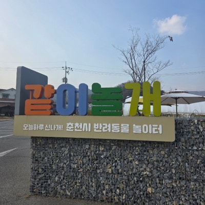 춘천시반려동물놀이터 같이놀개
