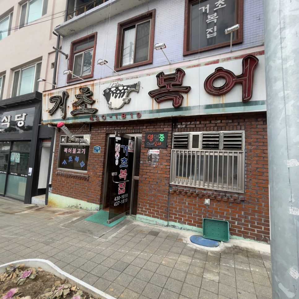 거초복어 사진 1