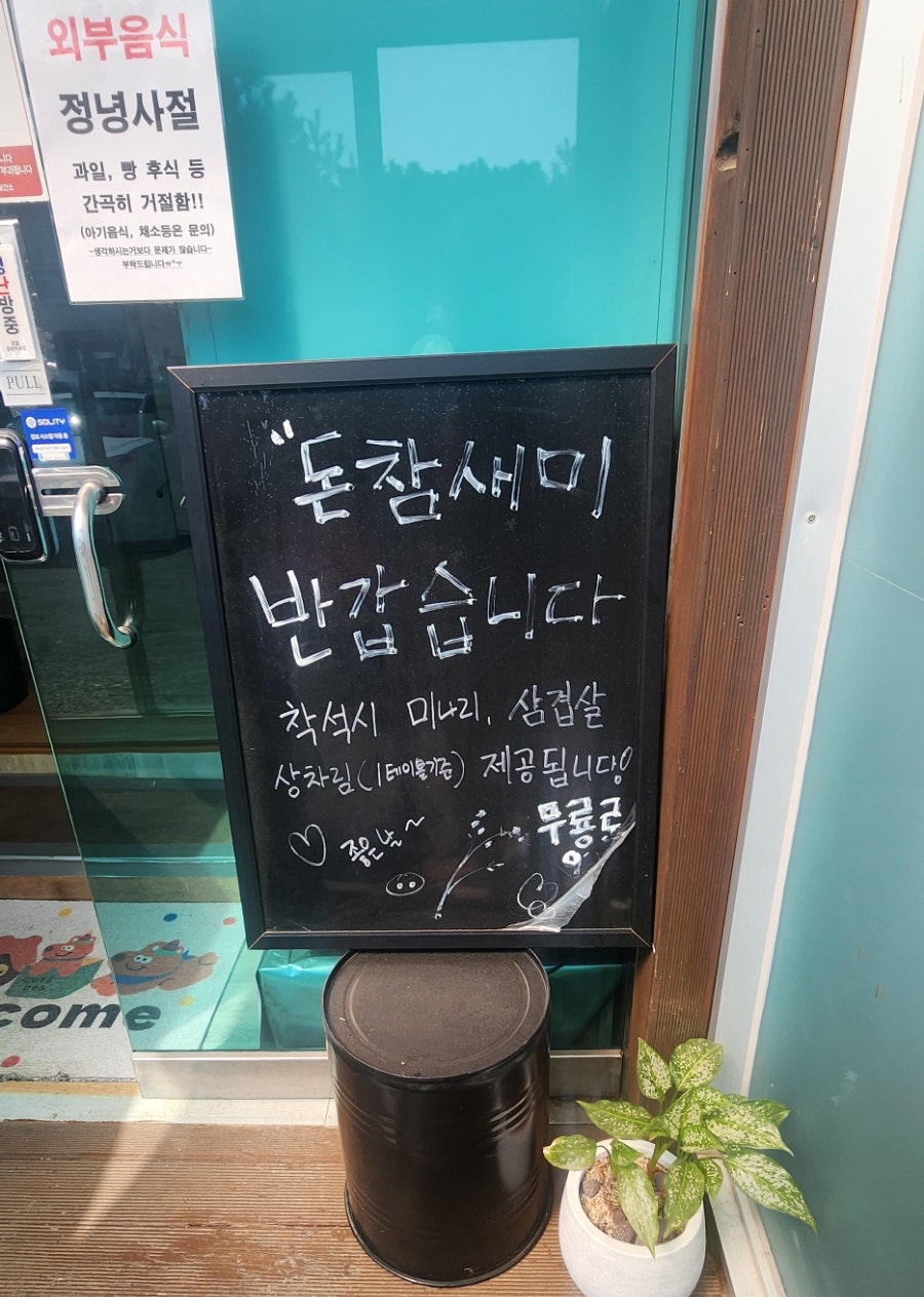 돈참새미 사진 6
