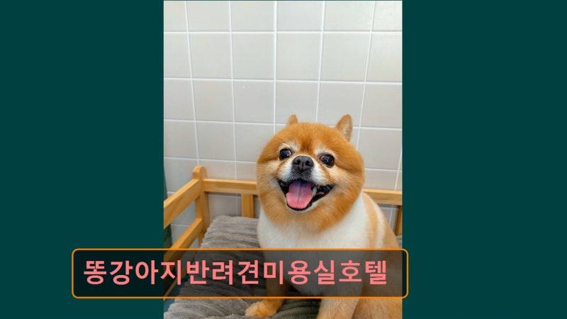 사진 2