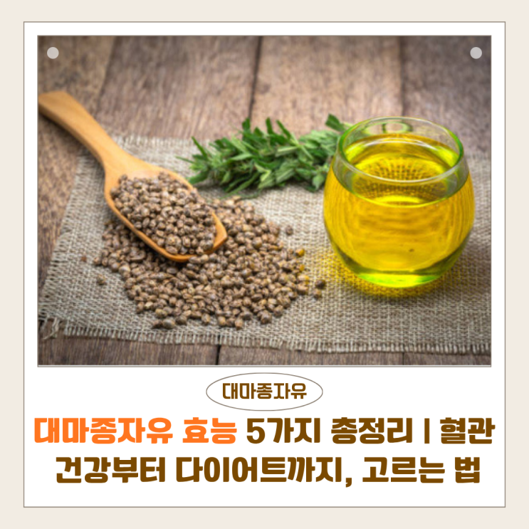  대마종자유 효능 5가지 총정리 | 혈관 건강부터 다이어트까지, 제대로 고르는 법