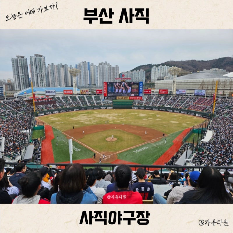 사직야구장 좌석 배치도 추천 중앙상단석 53블럭 예매 관람 후기