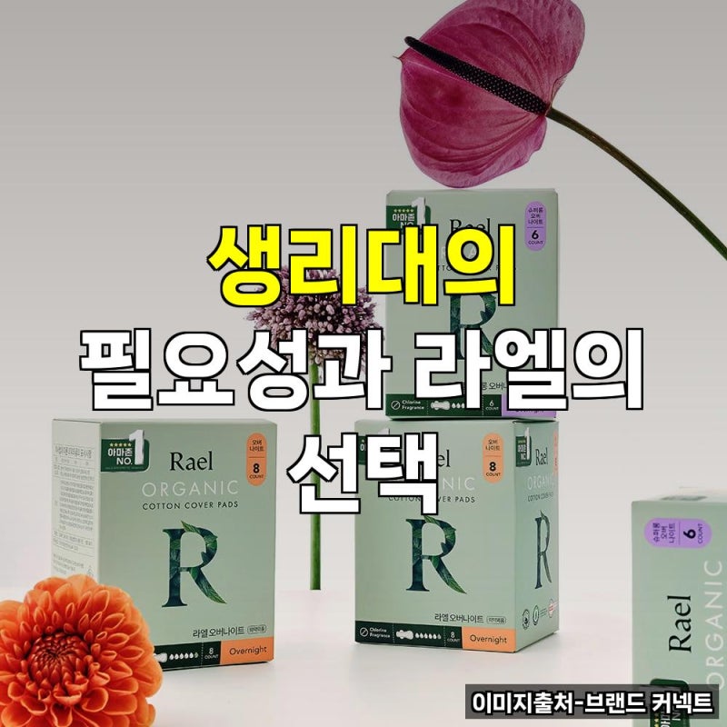라엘 생리대 지원금 파우치 다이소 지원