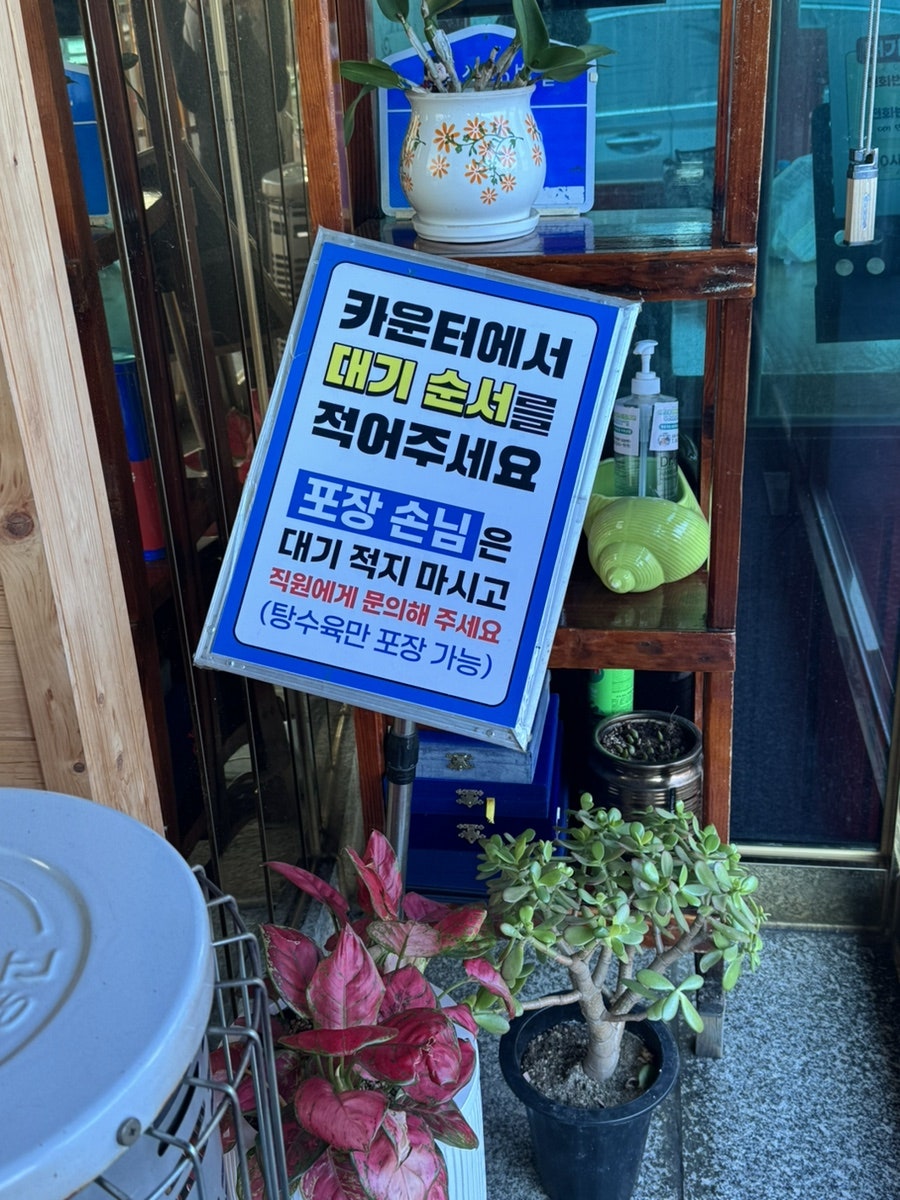 목화반점 사진 2