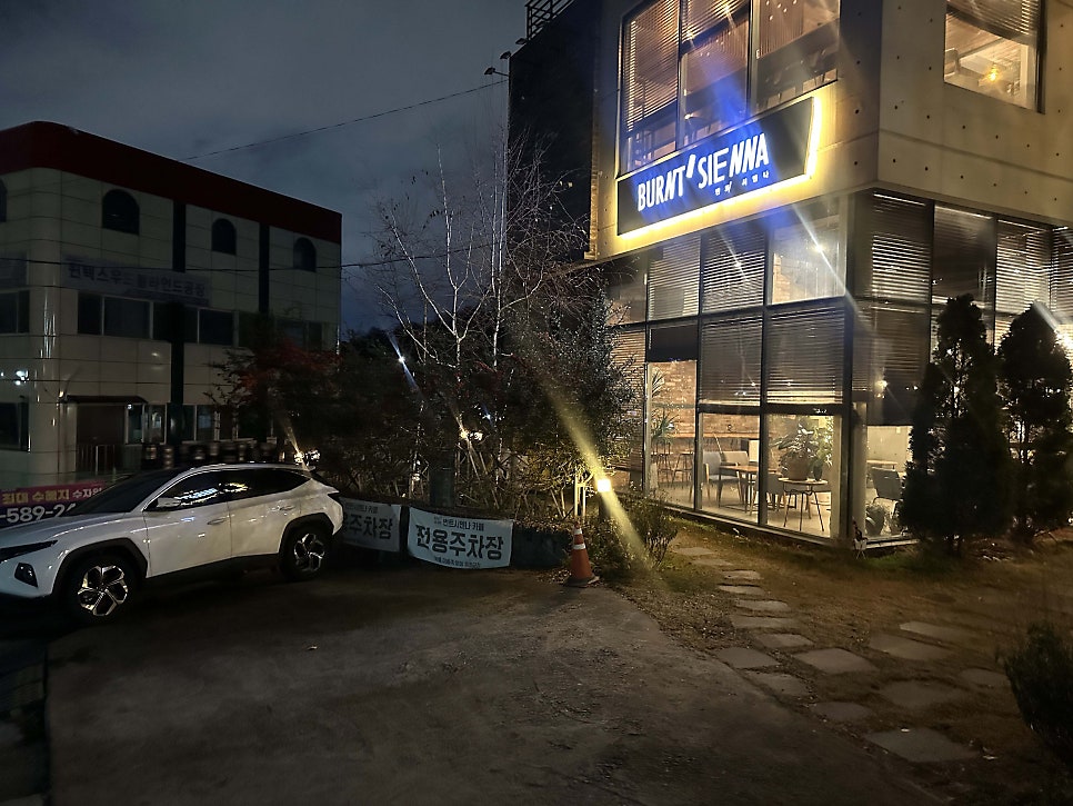 번트시엔나 사진 3