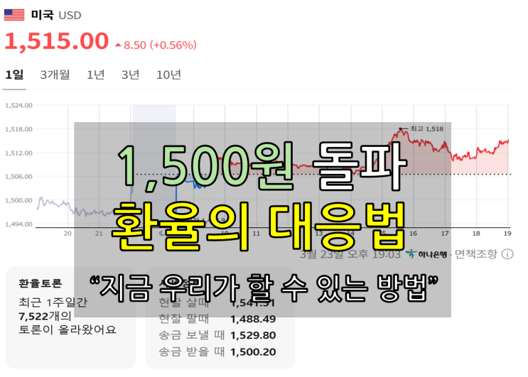  환율이 1500원을 넘은 지금, 당장 대응해야 할 이유