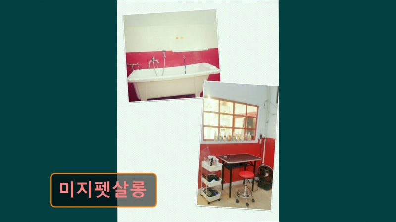 사진 2