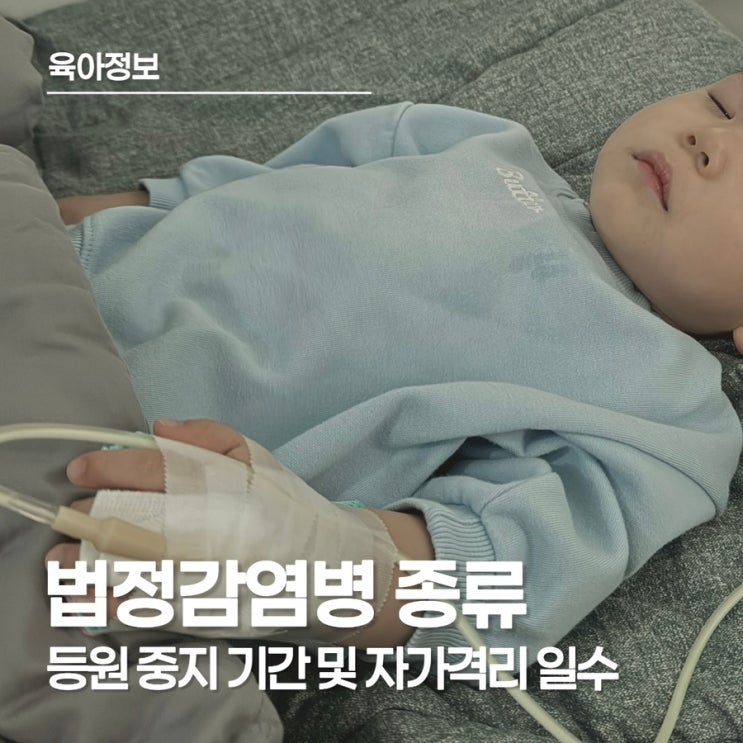  법정감염병 종류 & 어린이집 수족구 수두 격리 기간 (완치 확인서 등원 기준 총정리)