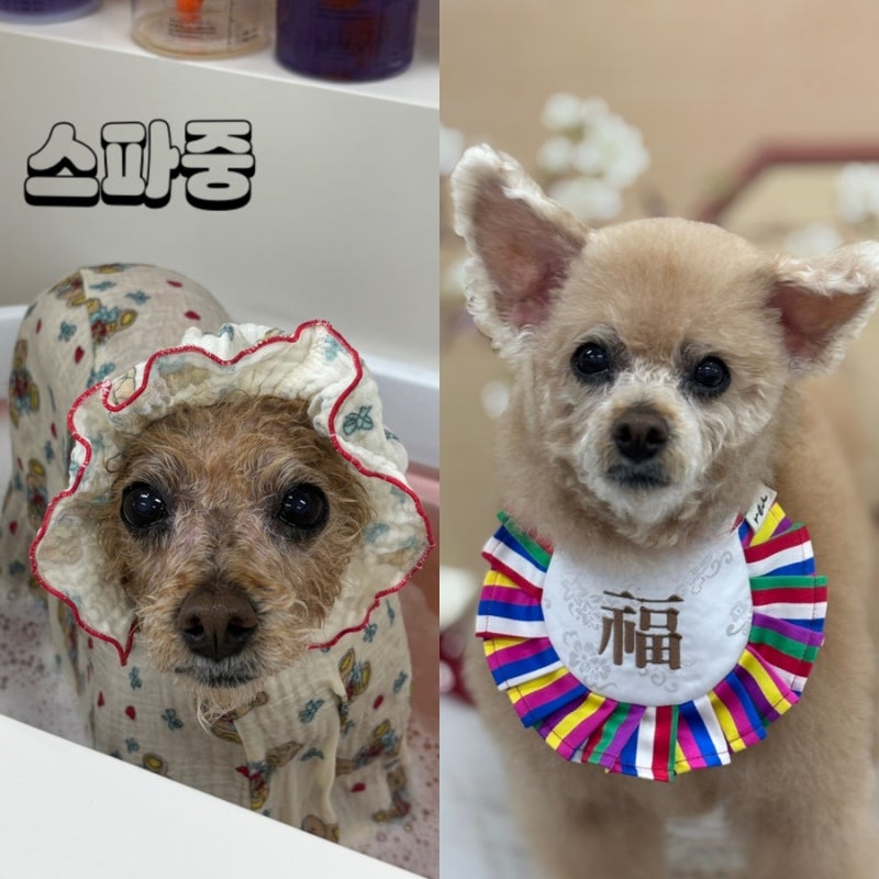 사진 6