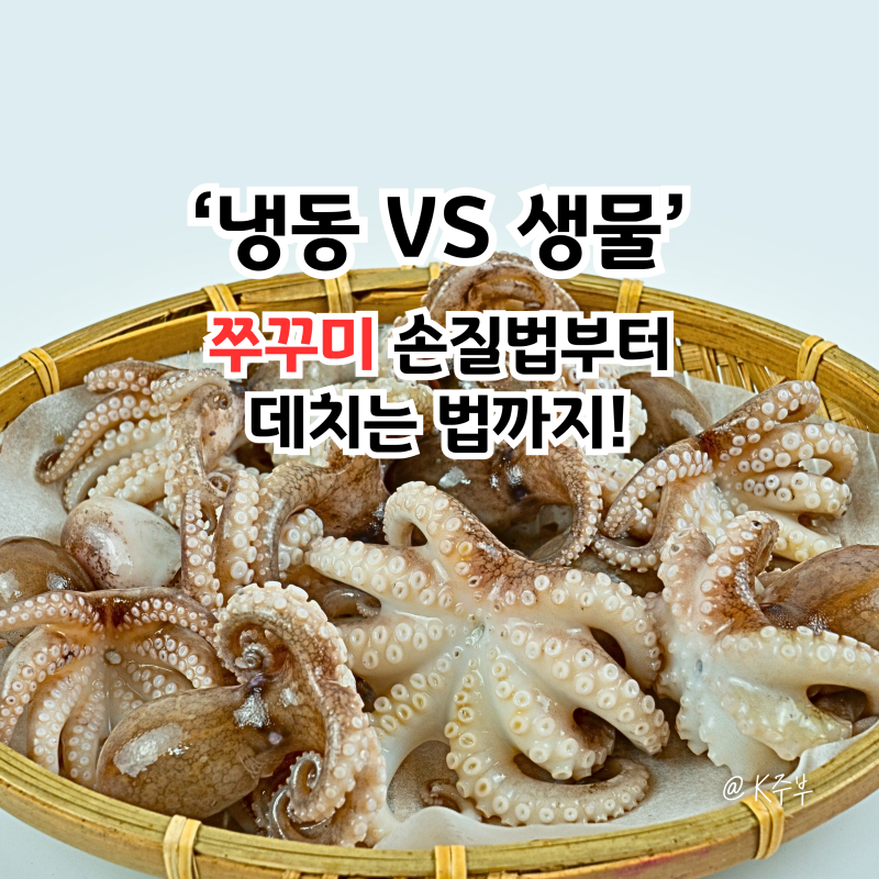 냉동 VS 생물 쭈꾸미 손질법부터 데치는법까지! "숙회 완벽 정리"