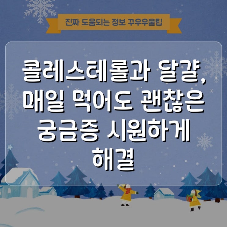  콜레스테롤과 달걀, 매일 먹어도 괜찮은 궁금증 시원하게 해결