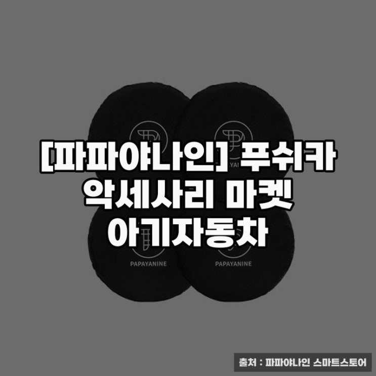  파파야나인 푸쉬카 악세사리 활용법