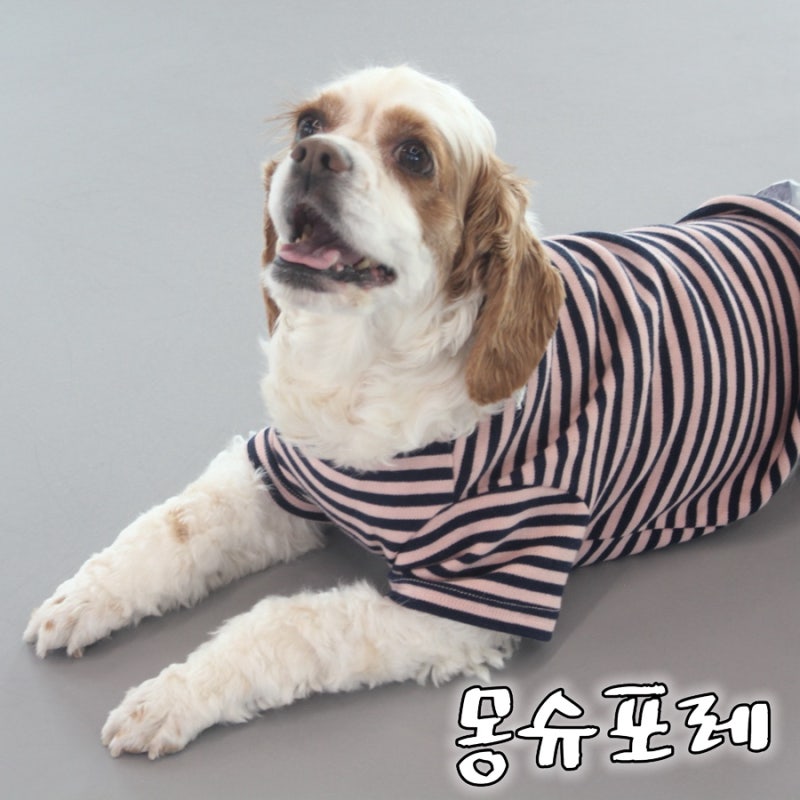 사진 4