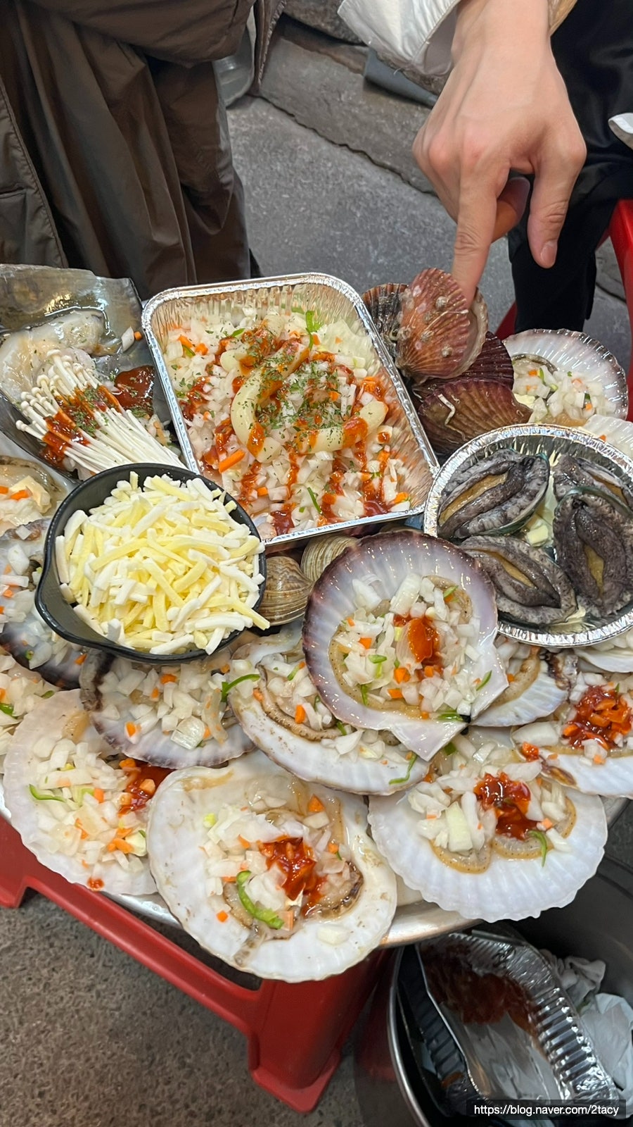 바다집 사진 1