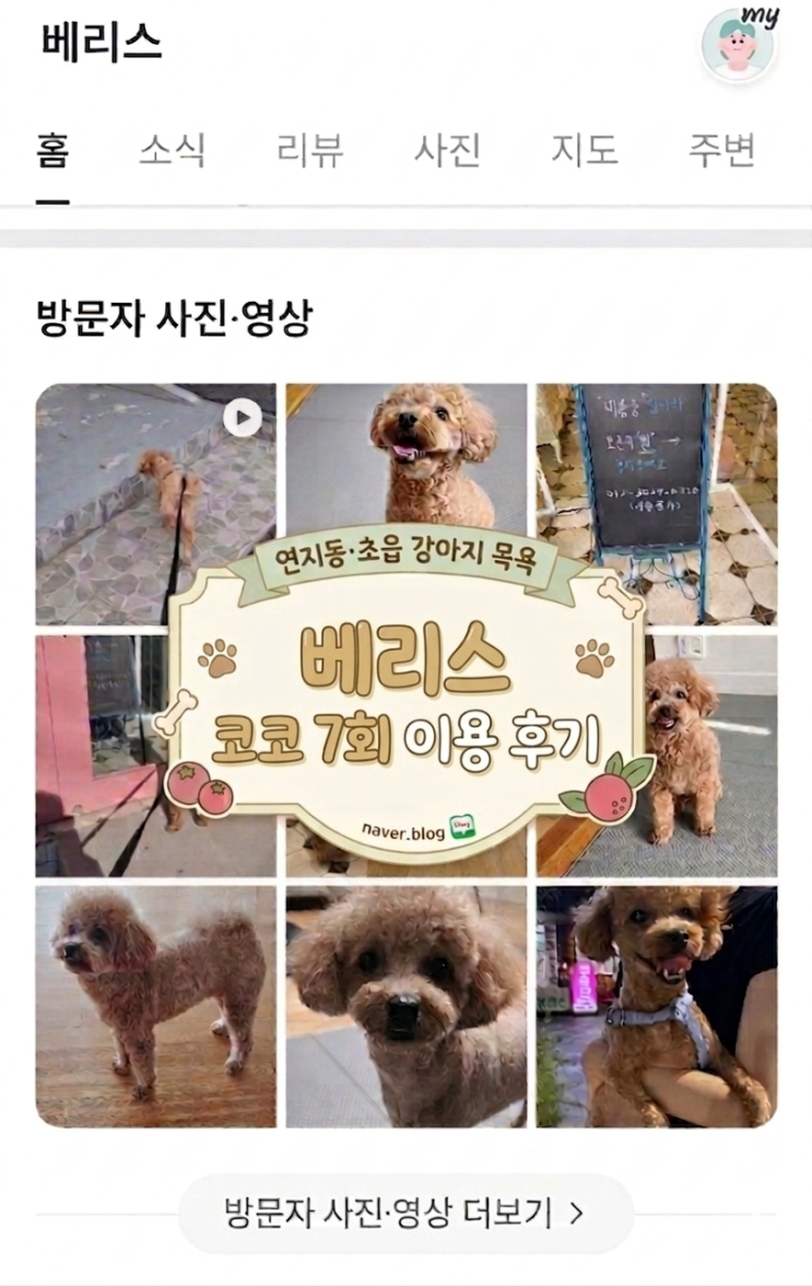  연지동·초읍 강아지 목욕 추천 베리스, 코코가 먼저 들어가는 7회 이용 후기