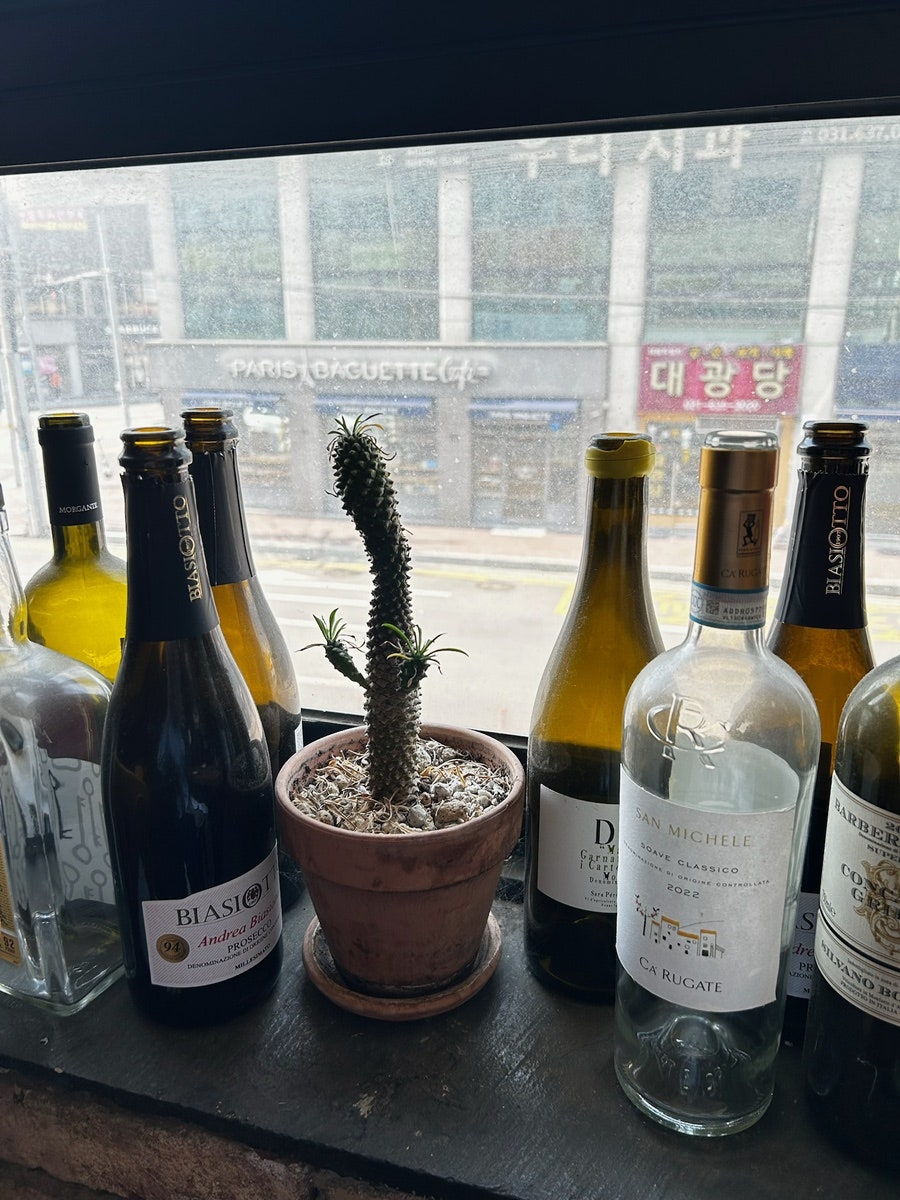 살로네 사진 4