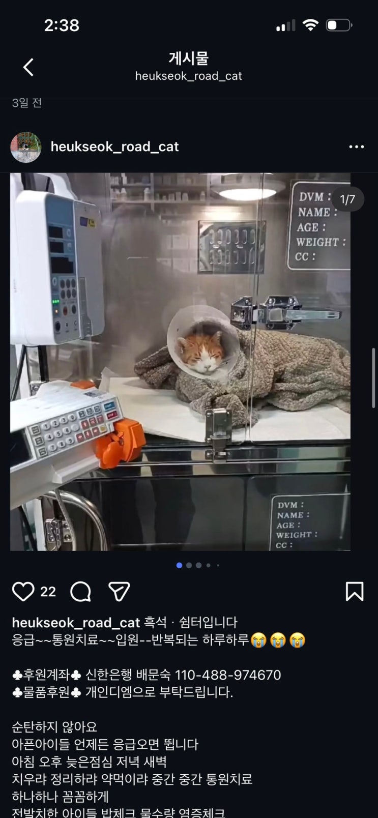  흑석동 고양이 개인쉼터 만원릴레이 부탁드려봅니다