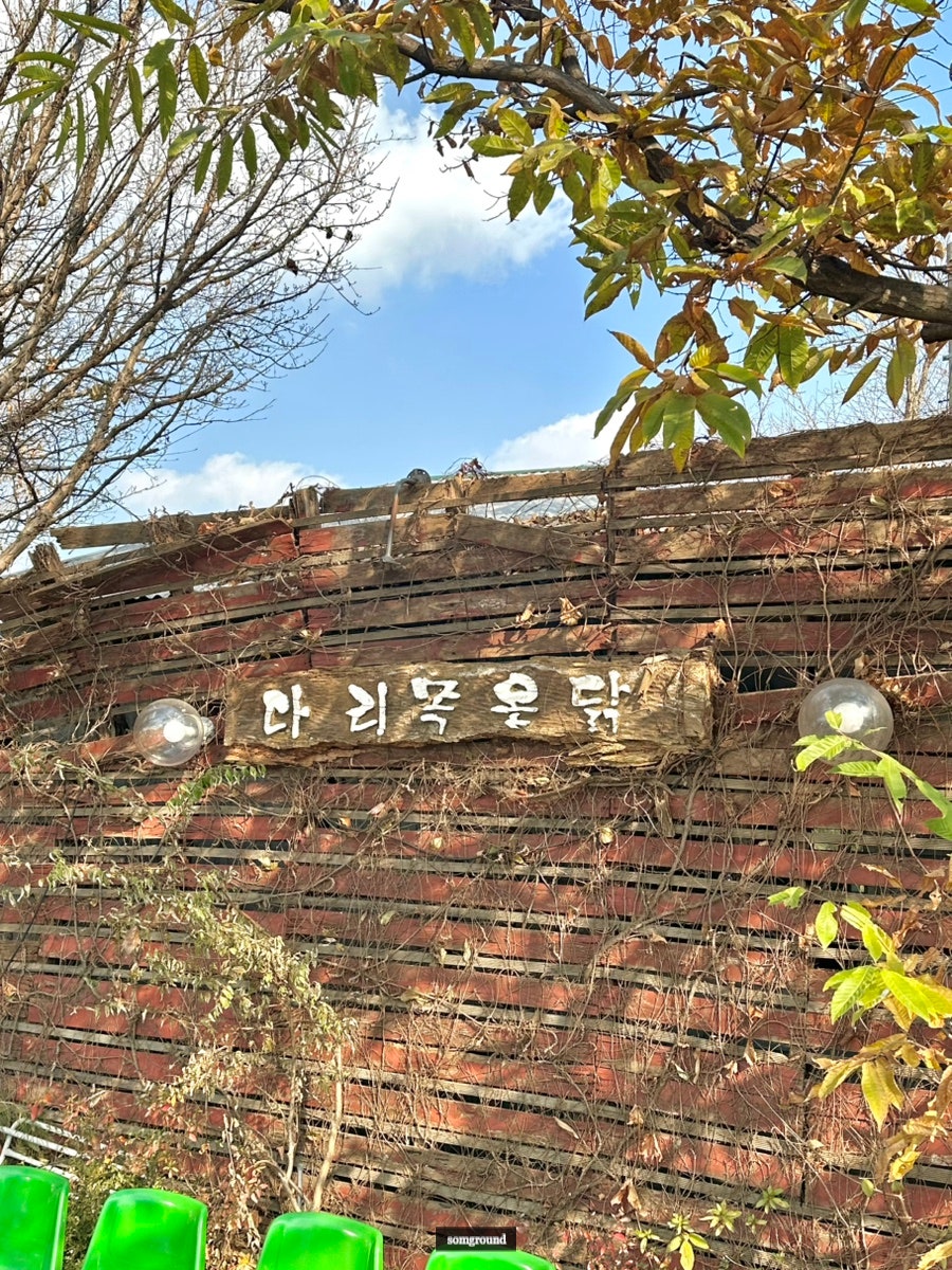 다리목옻닭 사진