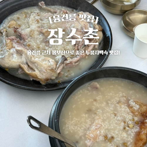  화성 융건릉 근처 맛집 장수촌 누룽지백숙 몸보신 추천