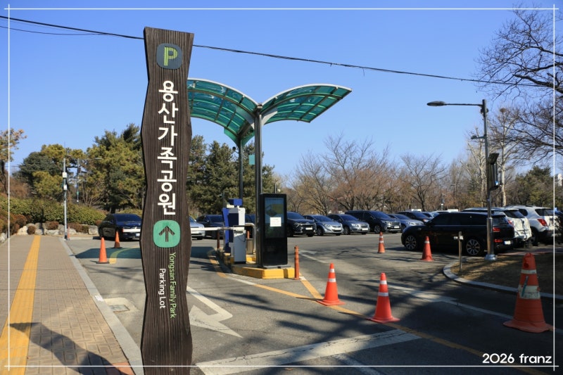 사진 9