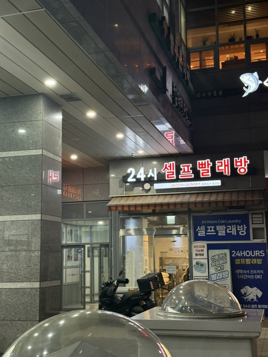 이가참치 사진 3