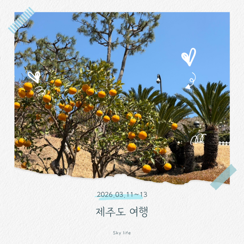 사진 9